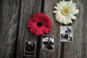 Poland’s Losses in World War II